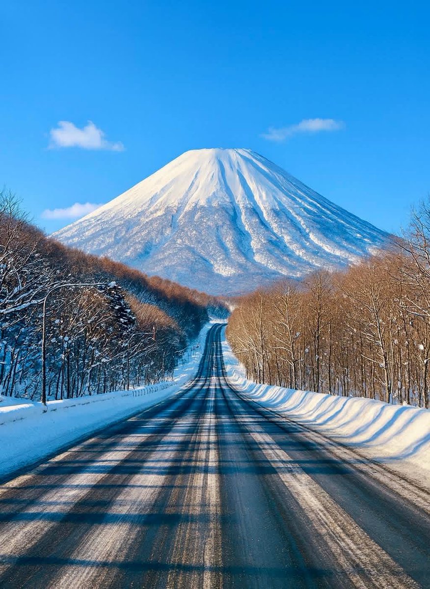 デコピン (@dekopin591) / Posts / X