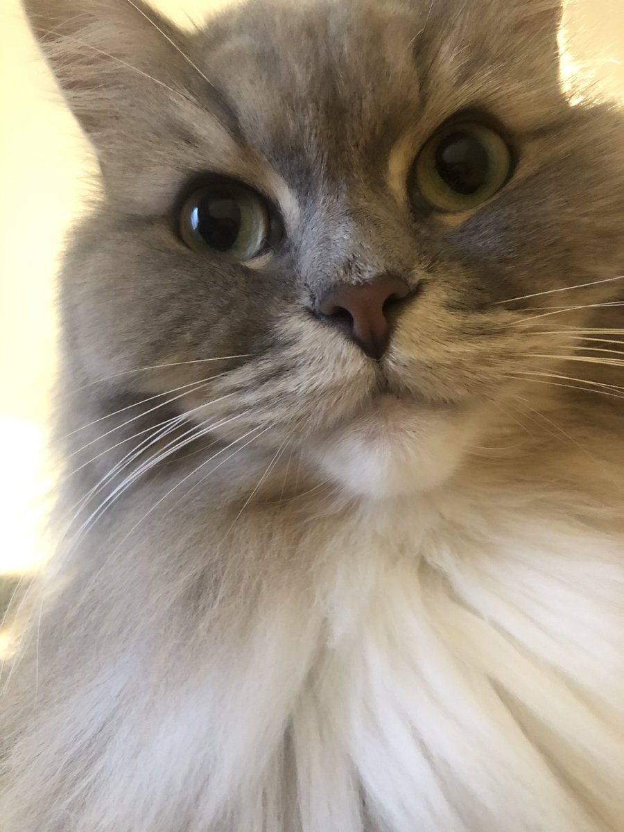 まろ茶 (@marotya_119) / Posts / X