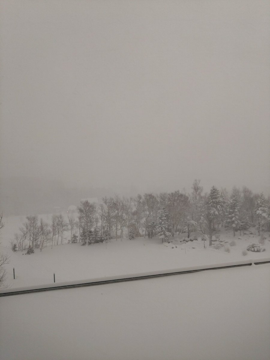 一夜でこんなに積もるとは