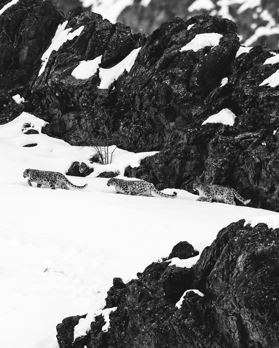 VagrantTravels's tweet image. 