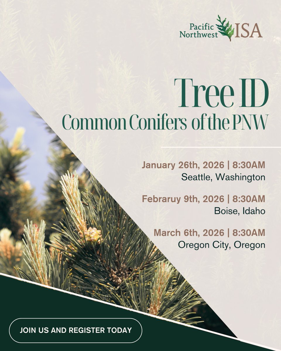 🌲 Join Casey Clapp in Seattle on Jan 26 for a full-day Common Conifers of the PNW workshop!
8:30–4:00 PM at the Center for Urban Horticulture. Earn 6 CEUs and sharpen your ID skills. pnwisa.org/events/EventDe…

#PNWISA #TreeID