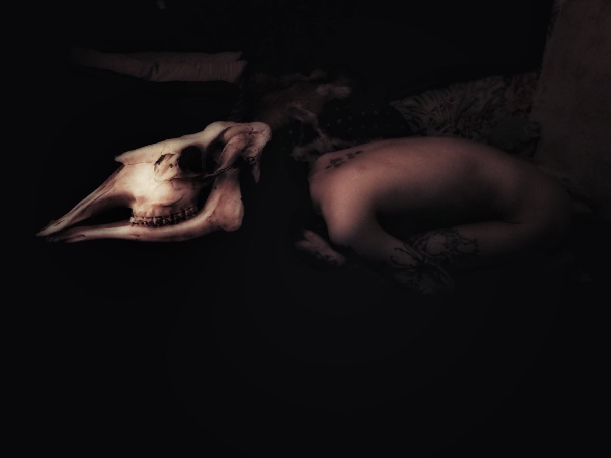 Russian_Gothic's tweet photo. #gothic #готика #photographie https://t.co/n6GD4hDlOh
