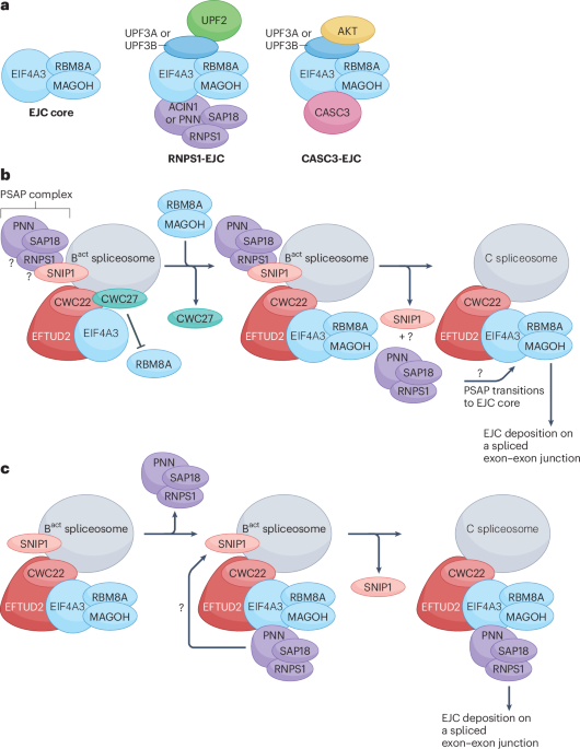 NatureStructMolBiol tweet media