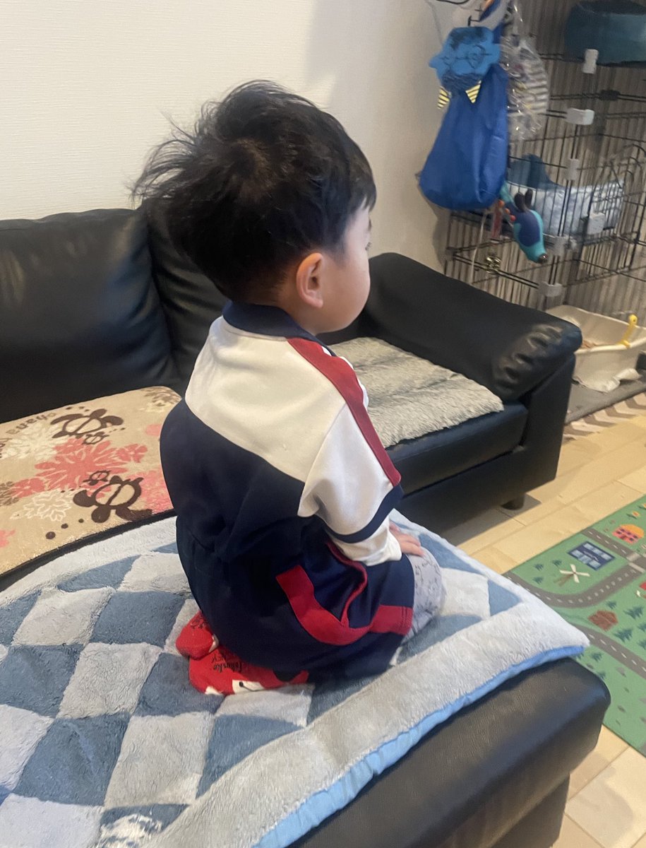 R453374510's tweet image. 三歳児の正座姿からしか得られない
栄養素がある