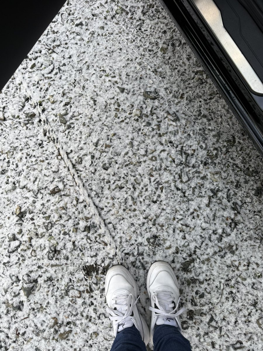 おはようございます☃️✨ 少しだけどやっぱり降った〜❄️ 少し道路