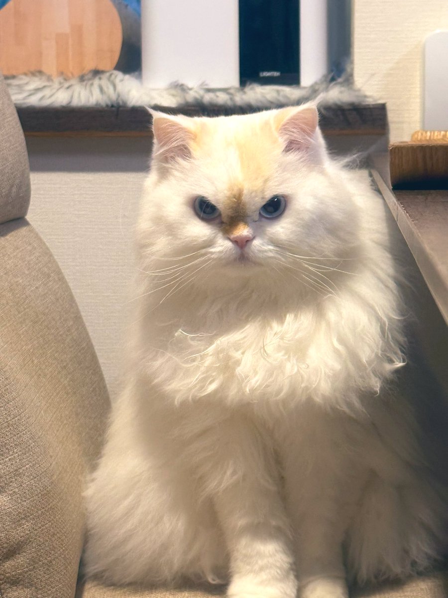 おはようございます〜

しかし、夜中の風が凄かった😱💦

特に何もなくでした🙆

で、まだ今日明日と２日あるぅ〜💤
弁当は、当然に残ったおでん🍢です😂

お外は寒寒ですよ〜😺