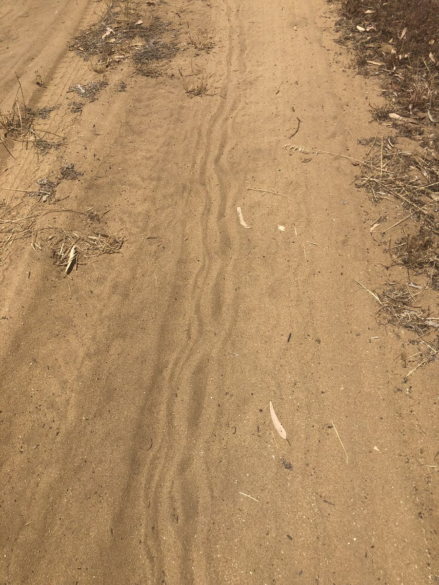 TomAMitchell tweet media