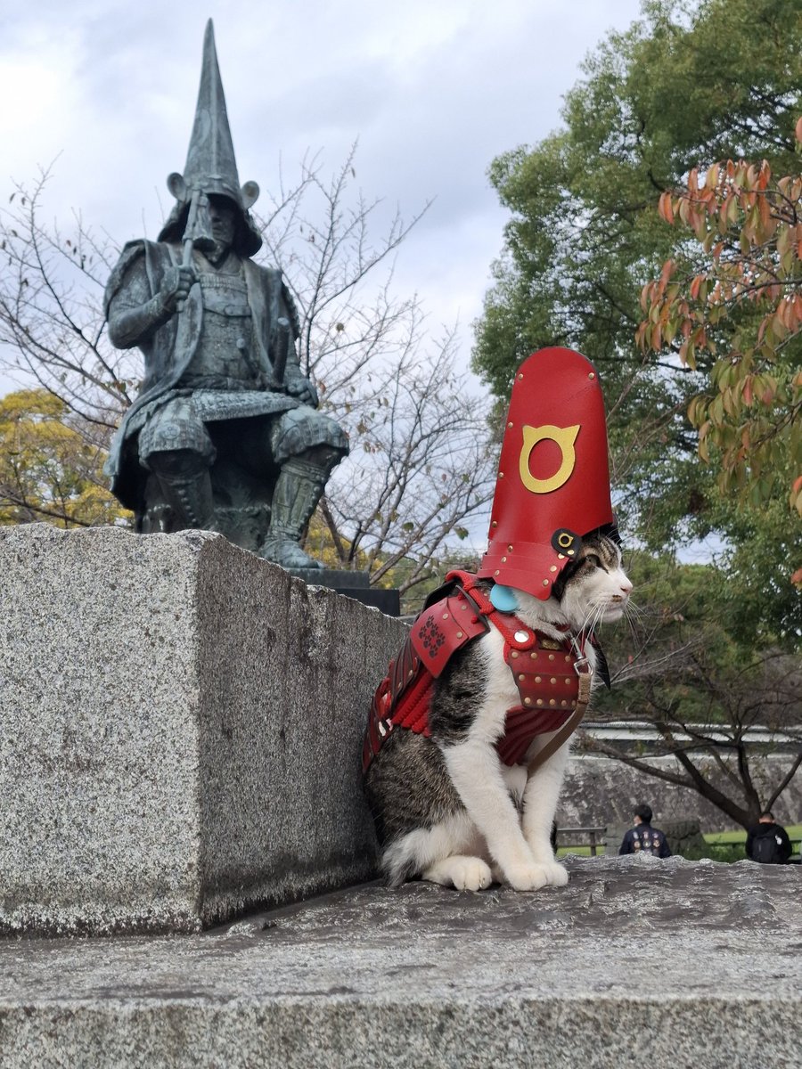 研ぎたいとです🐱