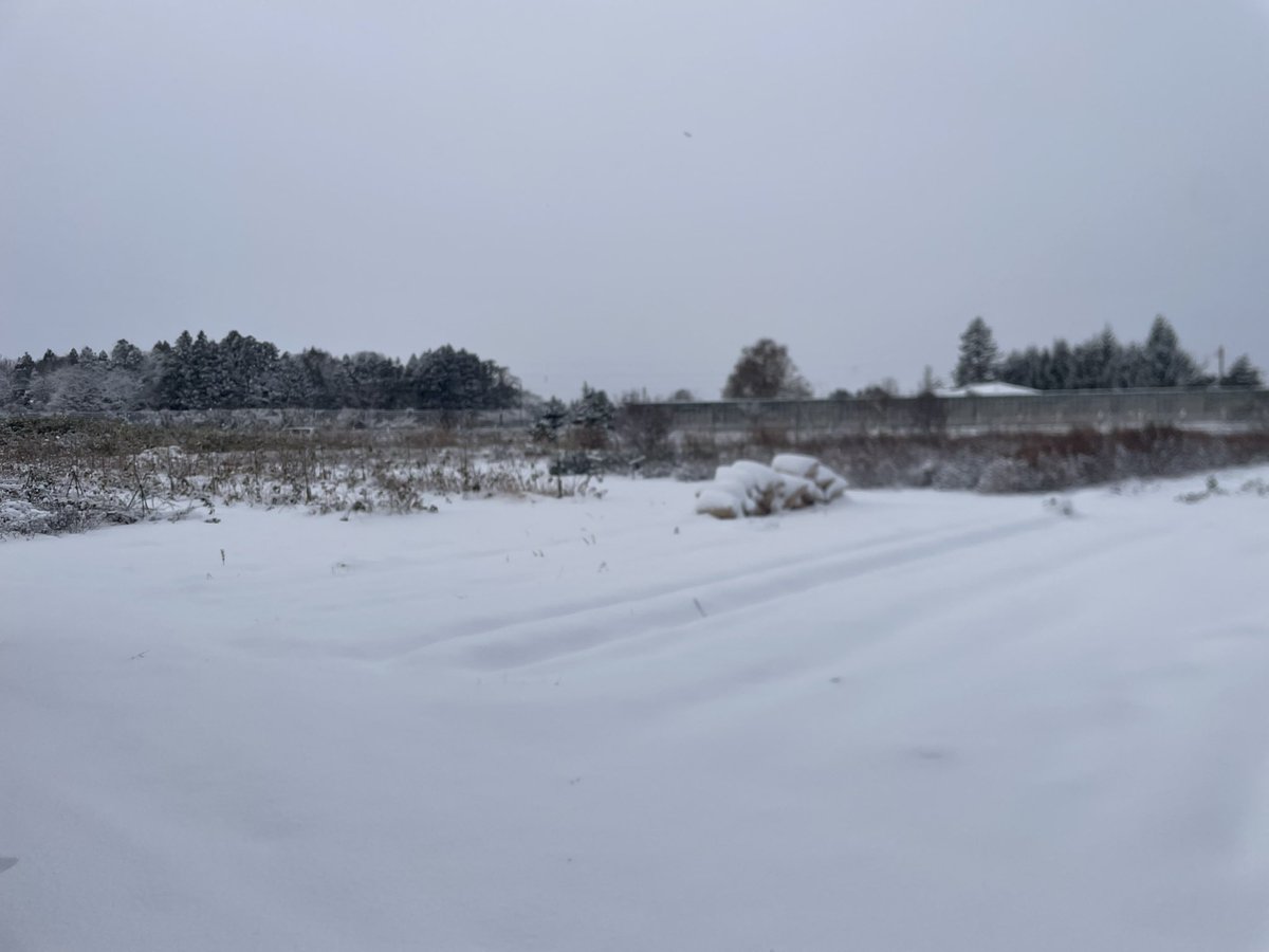 金ケ崎は雪です。