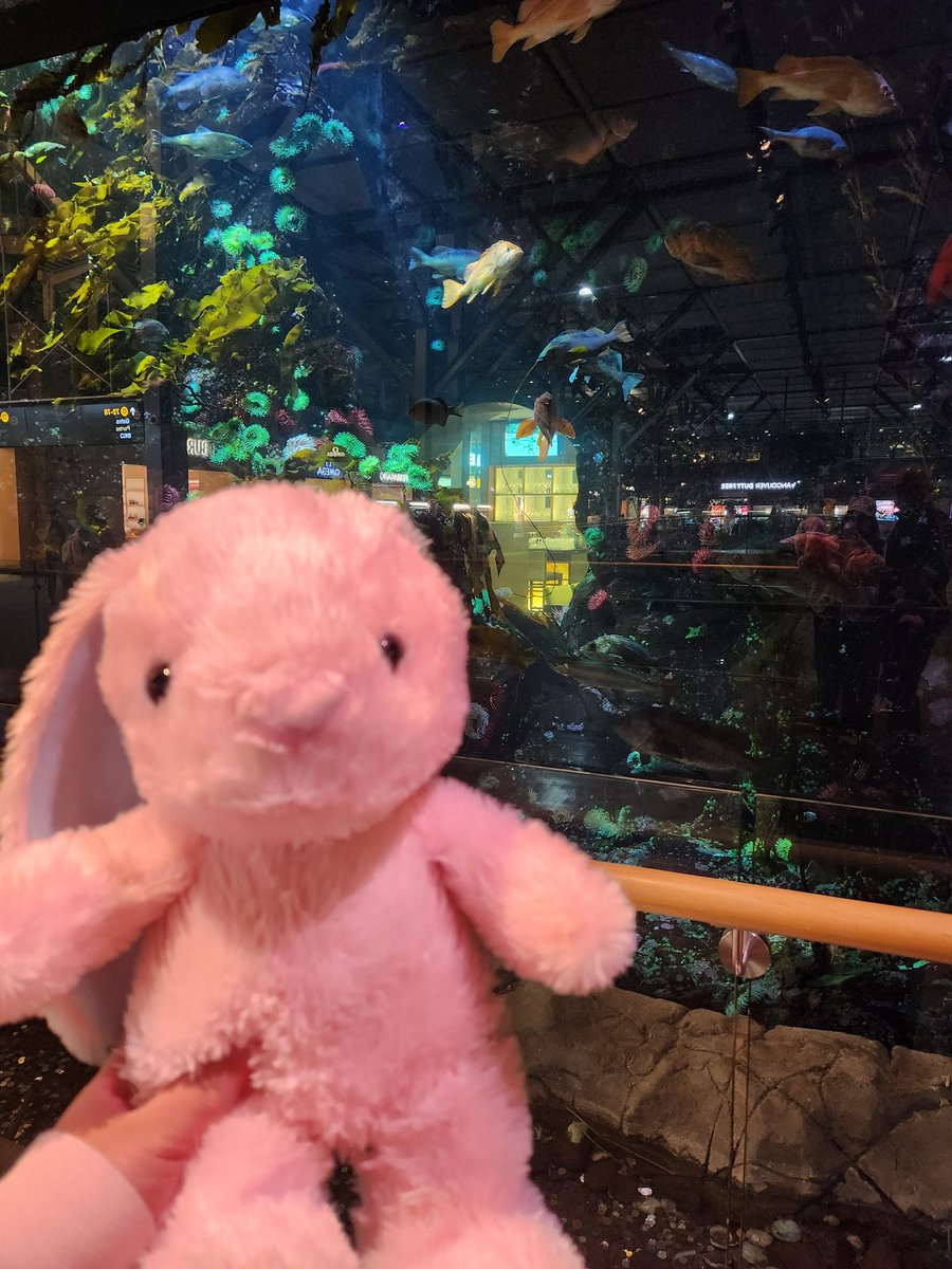 mai (unofficial hiatus) |【ⱯLive!】 🐰❄️ tweet media