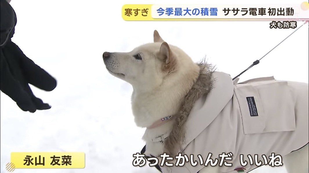animalkyat's tweet photo. 毎日こういうニュースでいい https://t.co/L4JGiw6c12