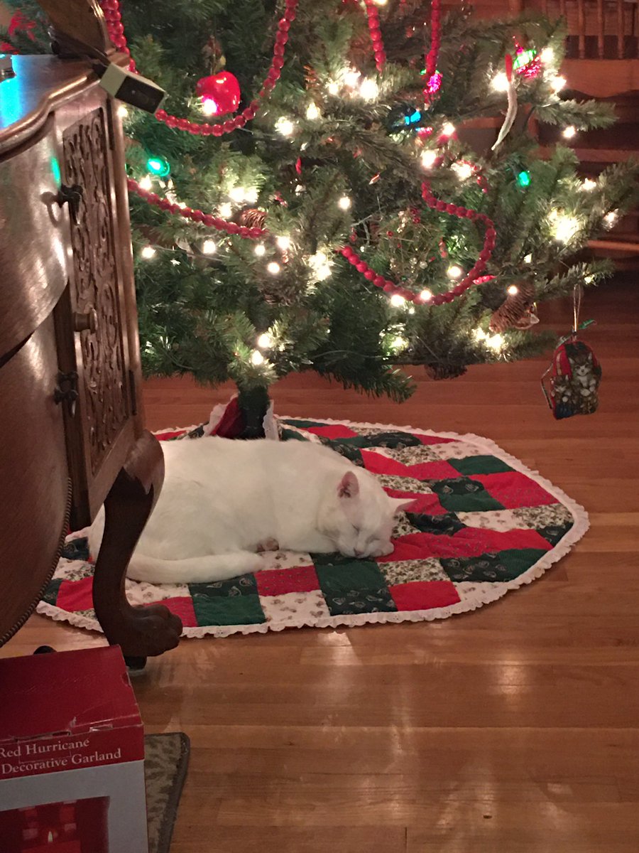 Olaf taking a long winters nap.