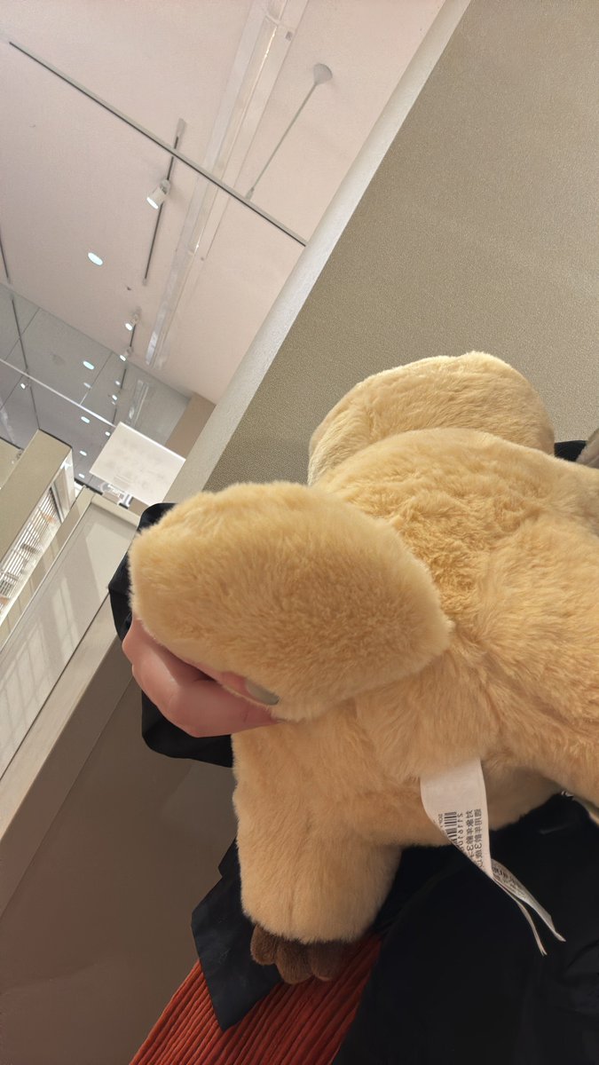 素敵な投稿ありがとうございます！ 「ぬいぐるみ カモノハシ S(BI25