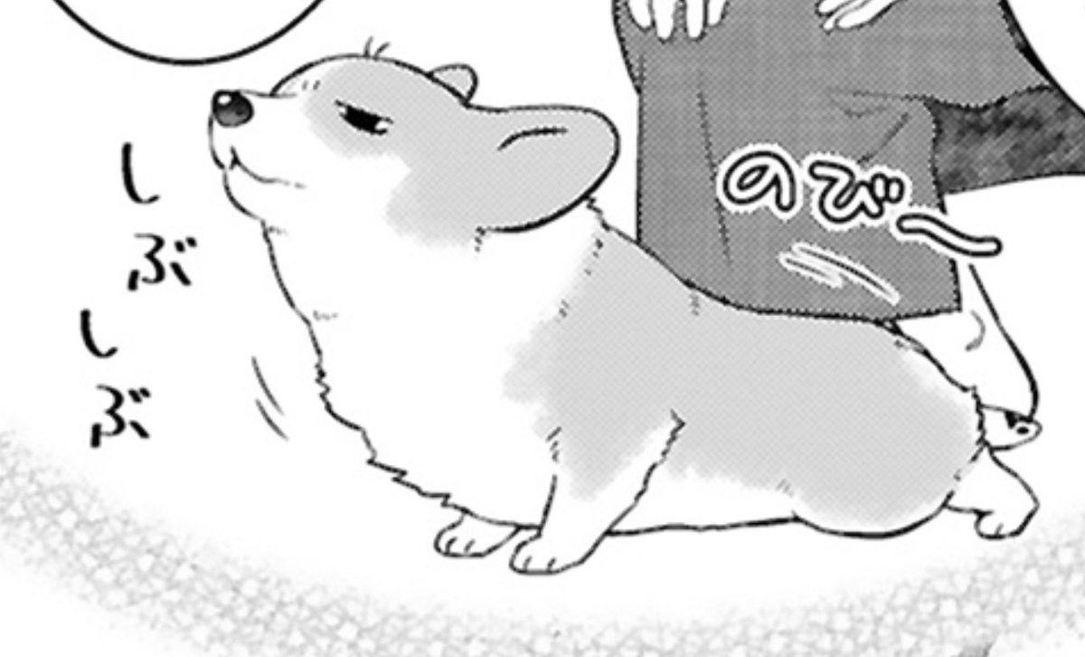 えっ、カワイッ🙊