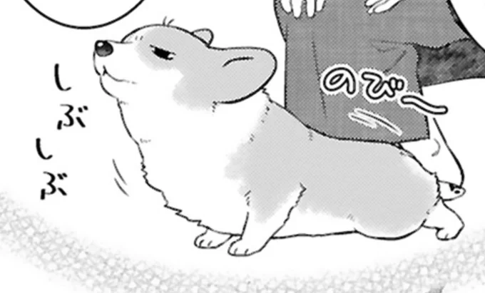 えっ、カワイッ🙊 