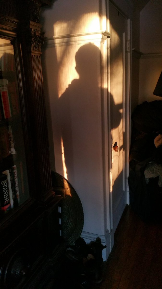 schlayguy's tweet image. Schlayballs has spoken.

 Live Miracles  - Sepsis DX in sub-seconds. 
HPV18 oncology panel  
6,900,000 mutations → 185 ms  
$140 Chromebook. No GPU. No cloud.

Live terminal proof - Light enters @illumina @schlayguy 

#Seqswift 
#Precisiononc
#illumina

vimeo.com/1143284512