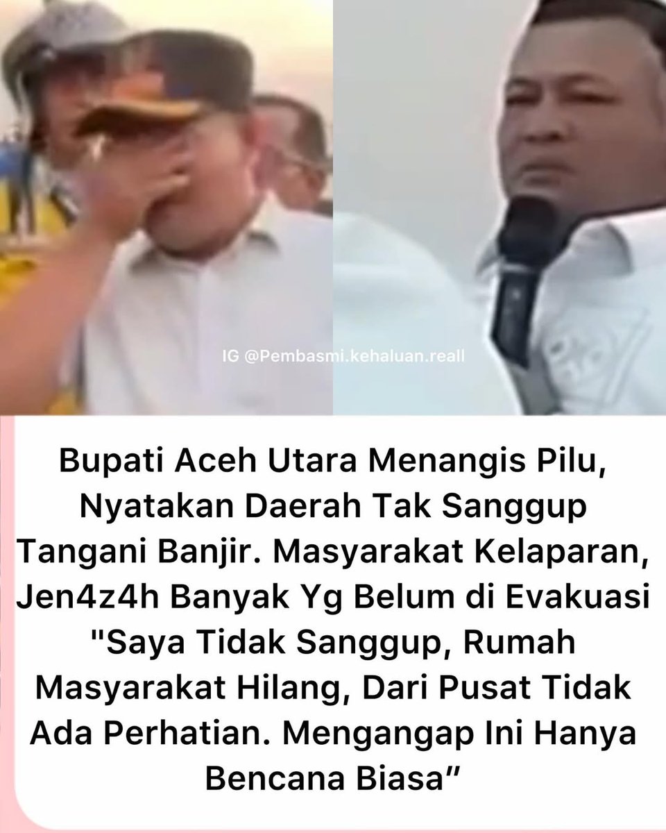Like This tweet media