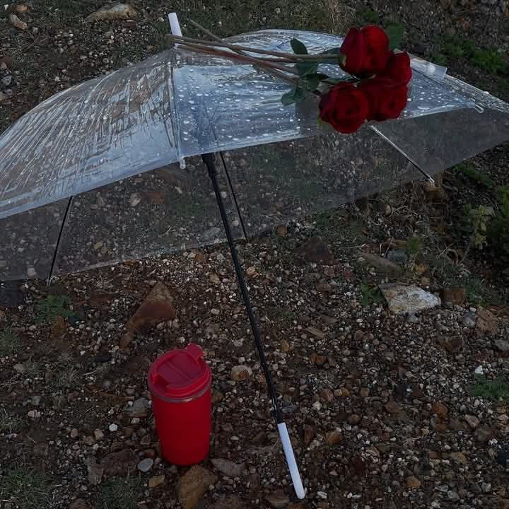 ⚜️

.
.
.
أنتمى إلى الشتاء 
إلى هواء بارد يوقظ الروح 
وإِلى سماء غائمة تحتضن أَسراري 
انتمى إلى كل ما يمنحني السلام .♥ 
.
.
.
#صباحيات 
#صباح_الاجواء_الحلوه 
#صباح_الخير_والسعاده