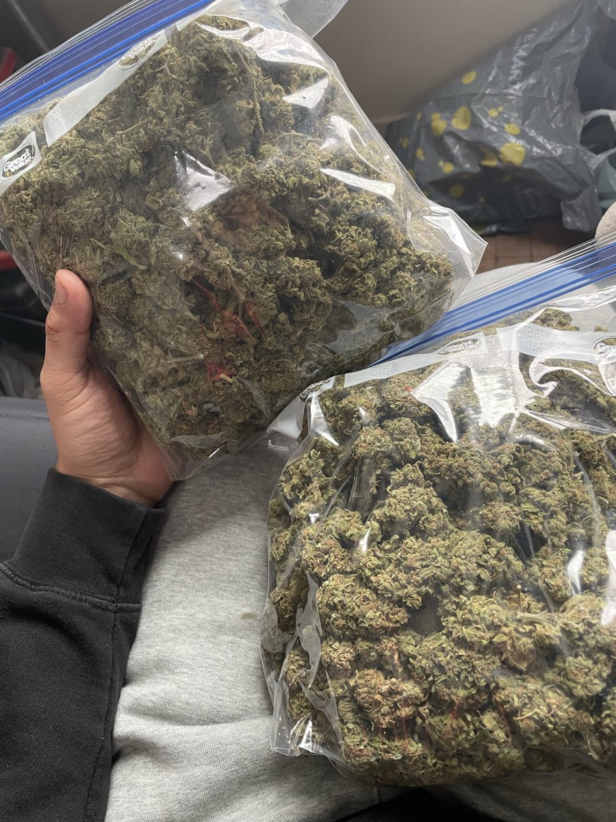 younguglyg's tweet photo. #weedtwt #stoner https://t.co/RrSCKFIFgy
