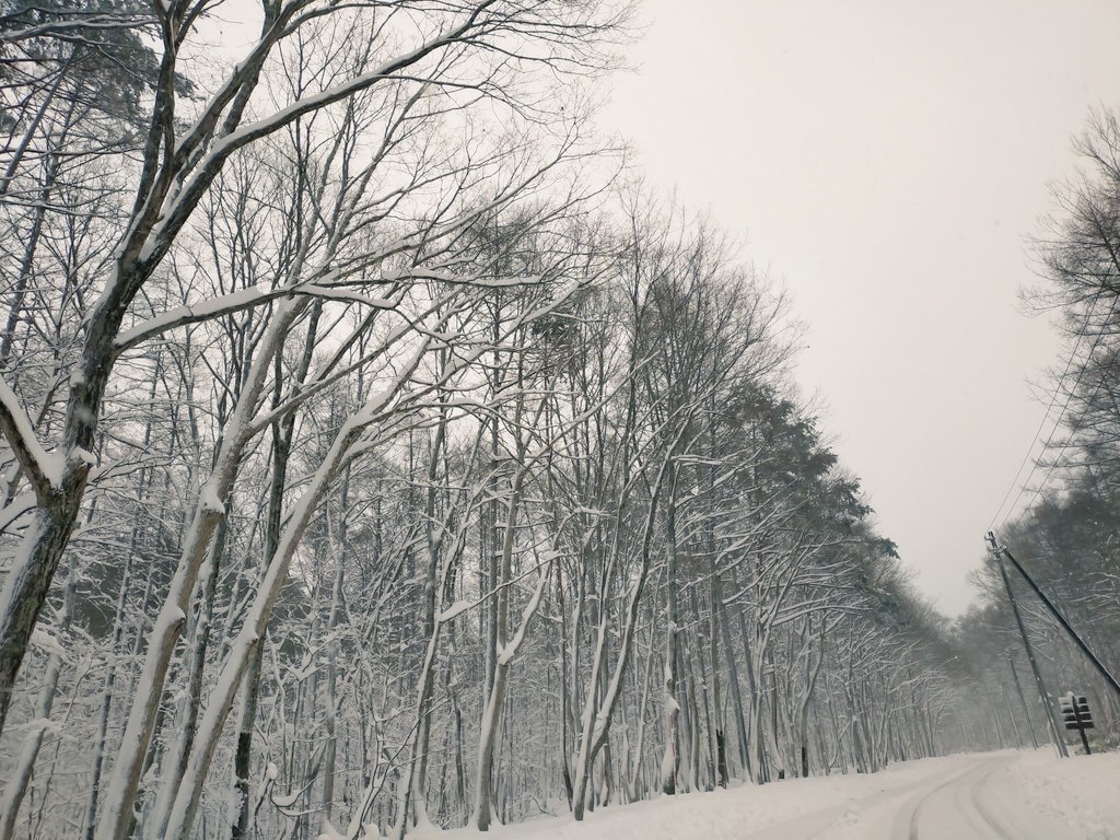 天気予報通り、雪が降りました。雪ですが、喰丸小も蕎麦カフェすこらさん営業中です♪
