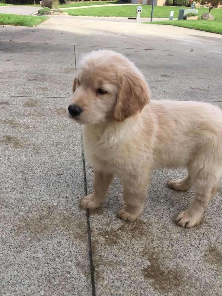 Best Of Photography (@graphiphoto) on Twitter photo 