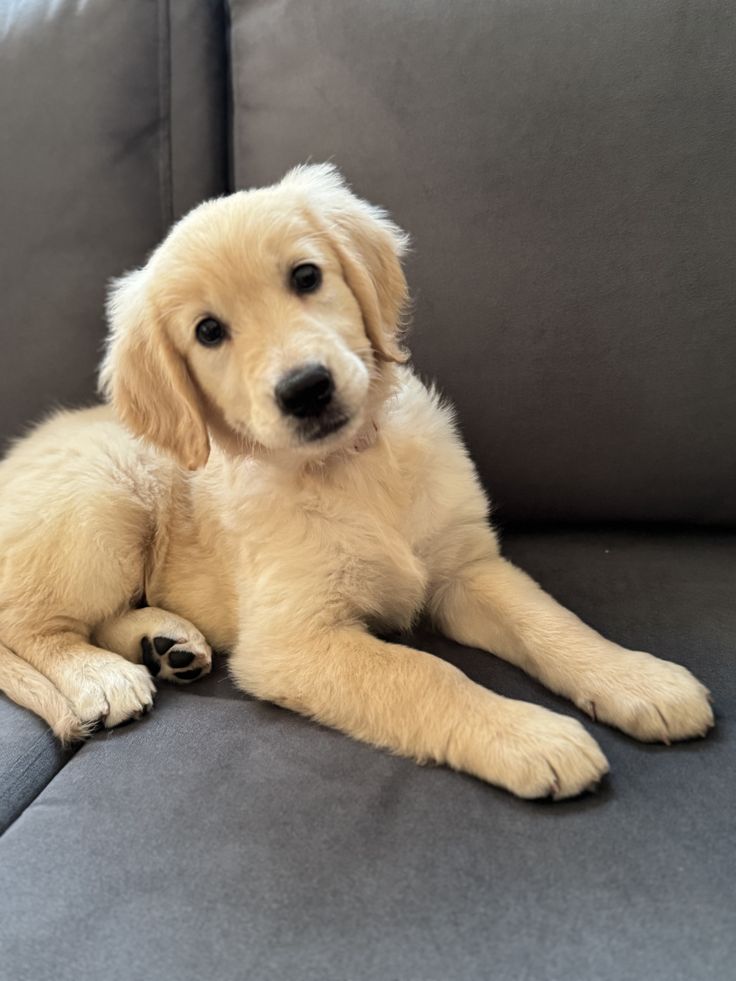 Best Of Photography (@graphiphoto) on Twitter photo 