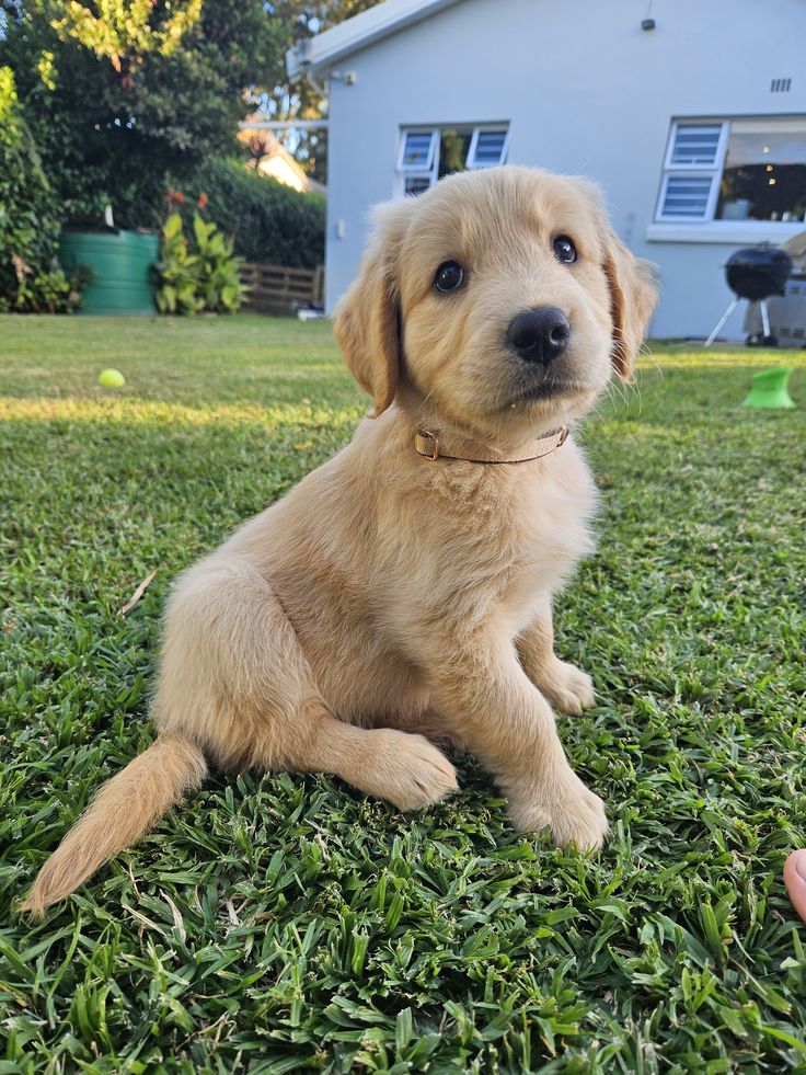 Best Of Photography (@graphiphoto) on Twitter photo 