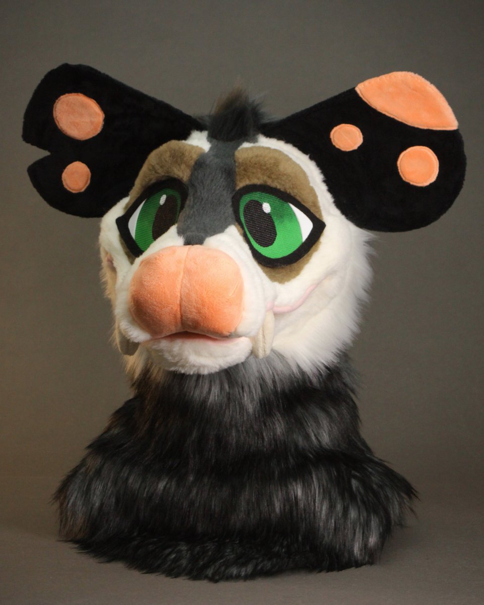 Fuster Poss tweet media