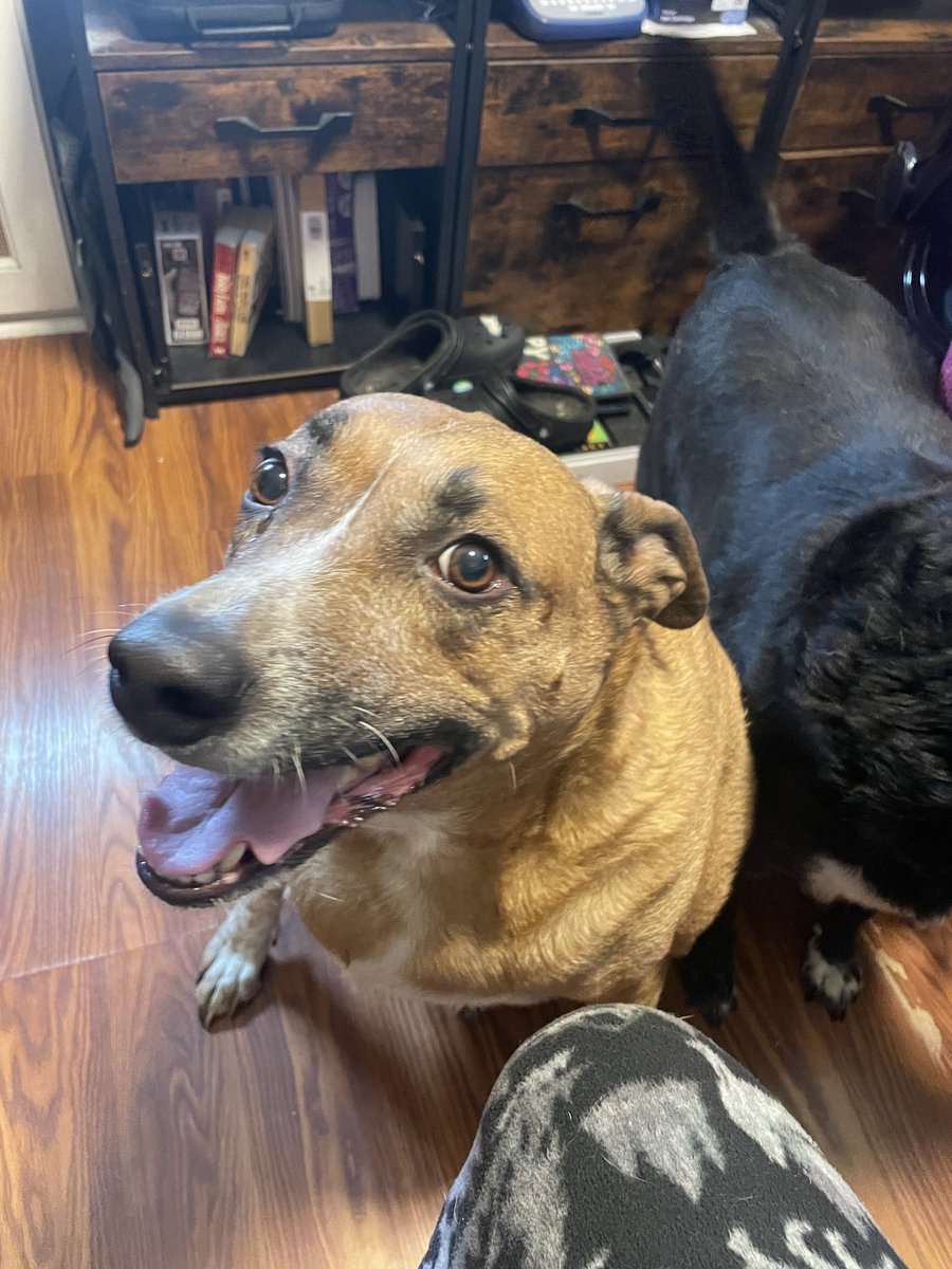 🦷 BRI 🦷 tweet media