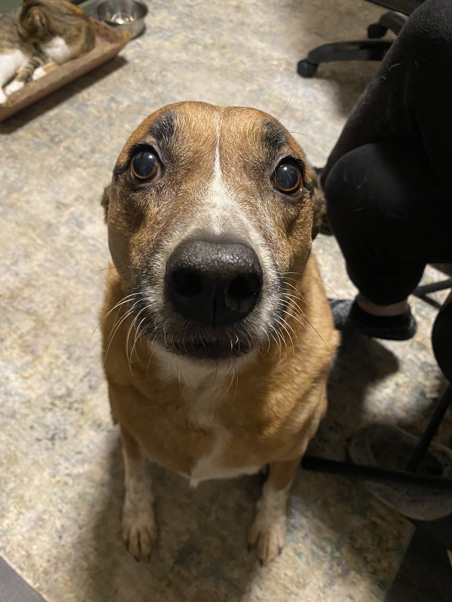 🦷 BRI 🦷 tweet media