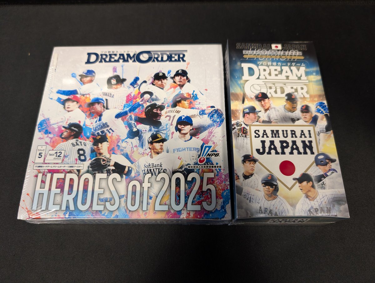 ⚾️ドリームオーダー⚾️ 球団ブースター 猛虎の勇姿 勇壮の巨人 獅子