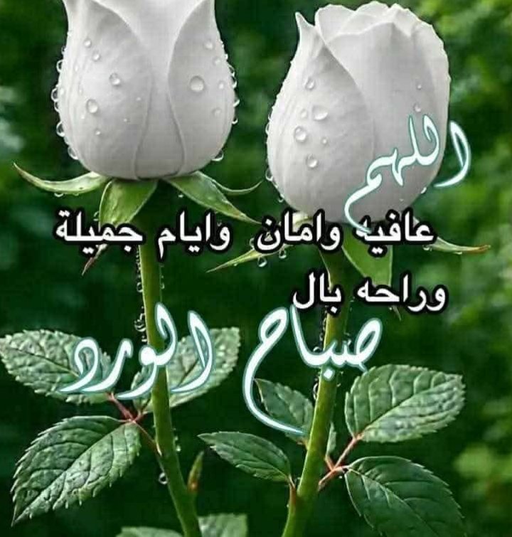 Georjass (@georjass55) on Twitter photo 