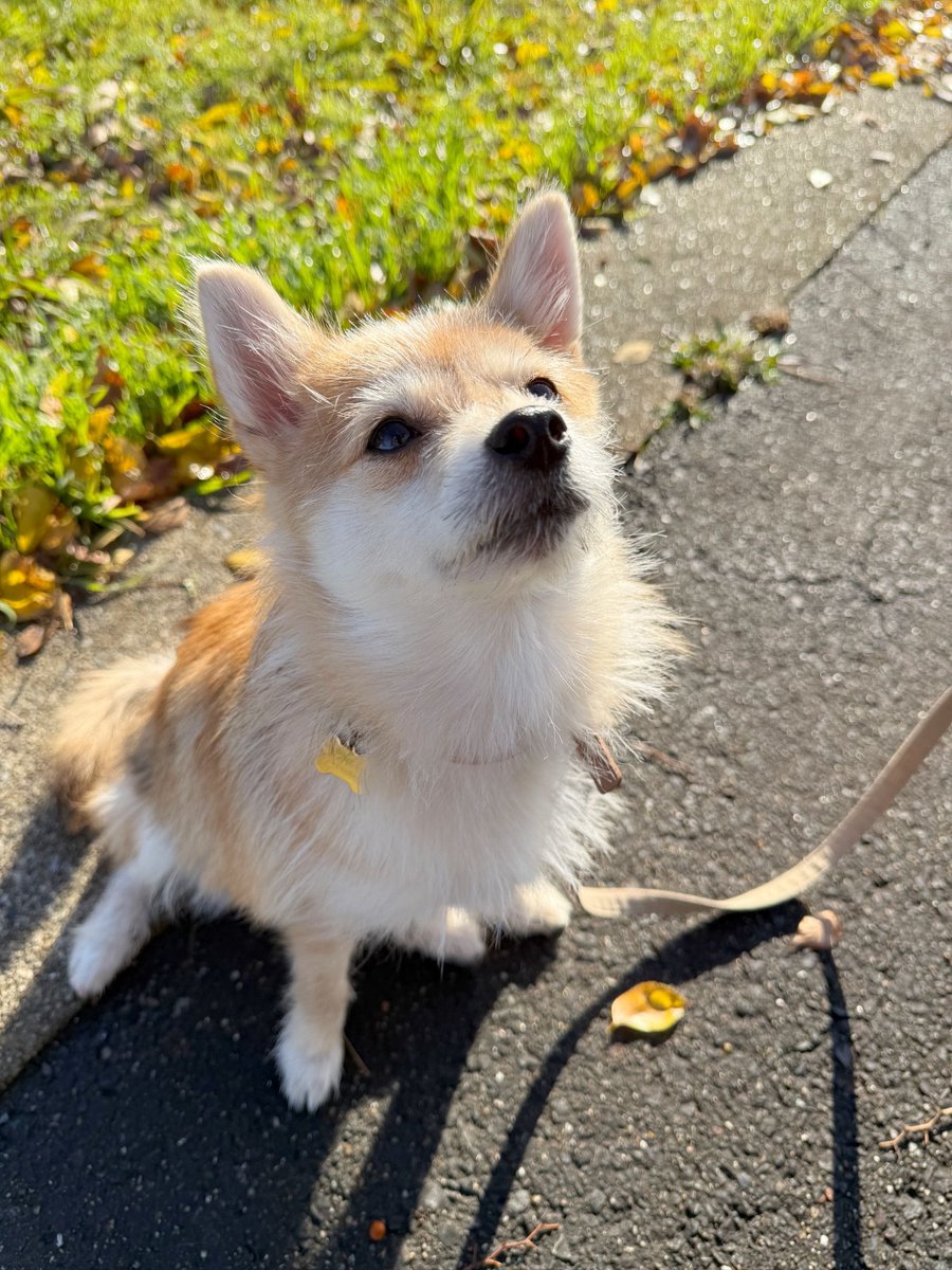 たなキャちゃんねる tweet media