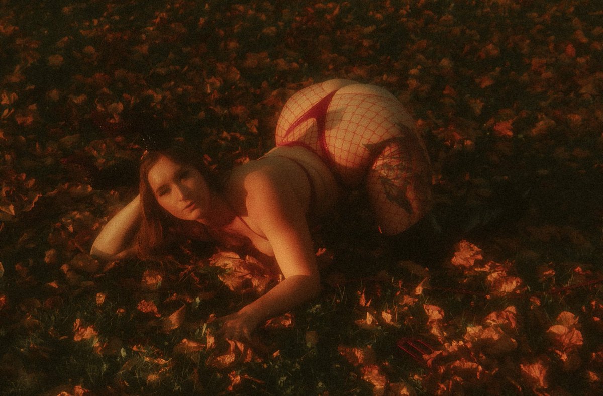 PineSierra's tweet image. Roll around in the leaves with me?