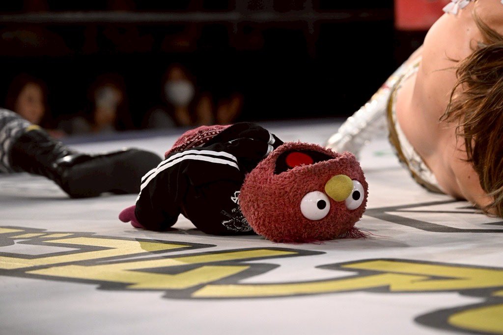 はいっは〜い！

くちが びりびりして くちゃかったです🩷

くりすちゃん やめて〜！