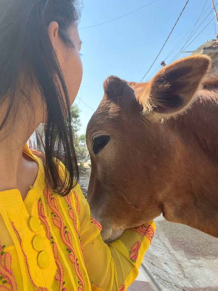 इंसान से ज्यादा जानवर आपकी भावनाओं को समझ जाते है 
                           Good morning x mate