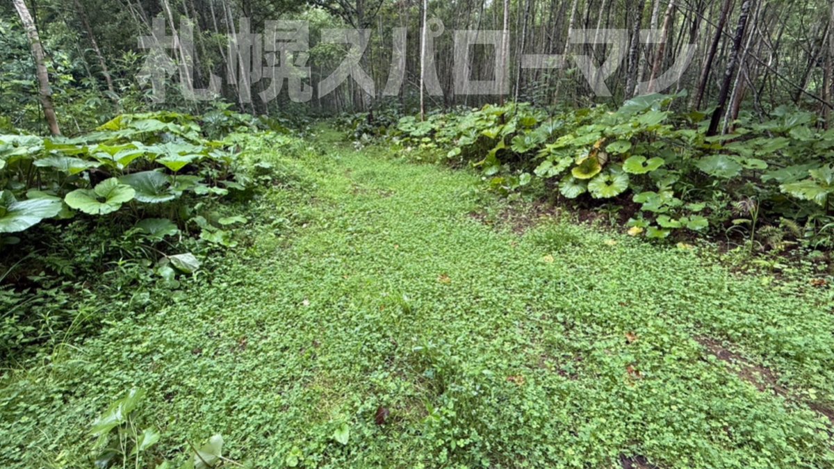 やはりメガソーラー建設により被害が具現化してきましたね。

山肌を削れば土砂が流出するのは当たり前。メガソーラー建設の条件に削った山肌をグランドカバー等で再生するなどの条件は無いのでしょうか？