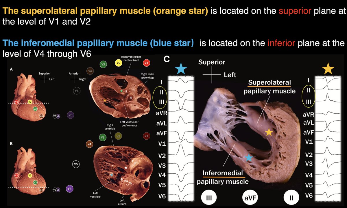 Dr. Zhong tweet media