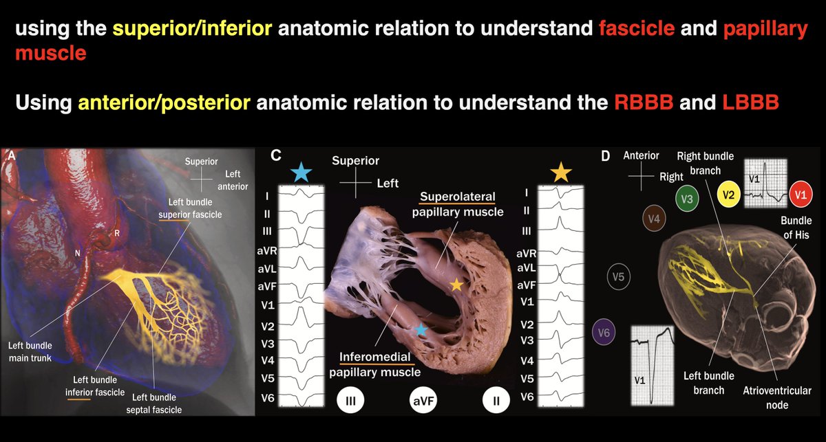 Dr. Zhong tweet media