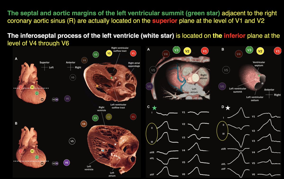 Dr. Zhong tweet media