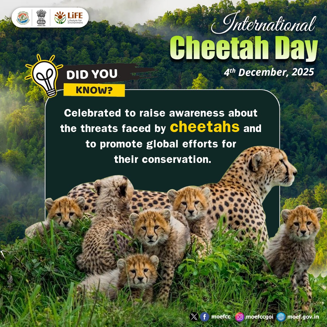 moefcc's tweet image. On #InternationalCheetahDay, we highlight the need to protect cheetahs and strengthen global efforts for their long-term conservation.

#Cheetah #MissionLiFE #ProPlanetPeople