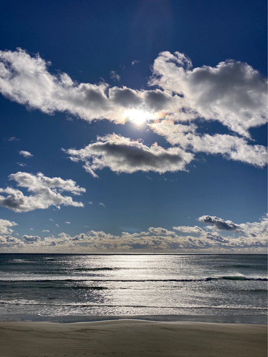 伊藤サチコ(huenica) (@itosachiko) / Posts / X