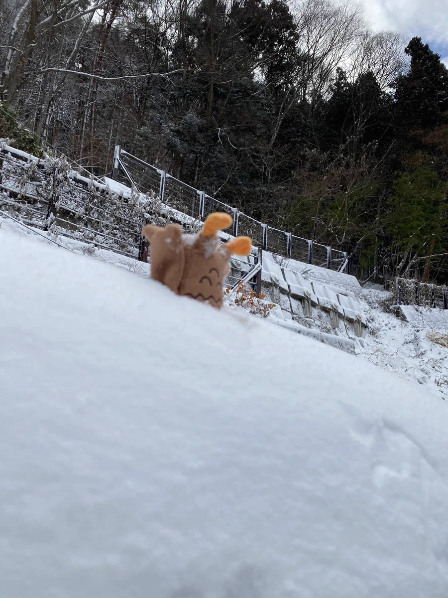 信州高山村観光協会 в X: „ヒトが雪かきしてる中 俺は雪遊びしてやった