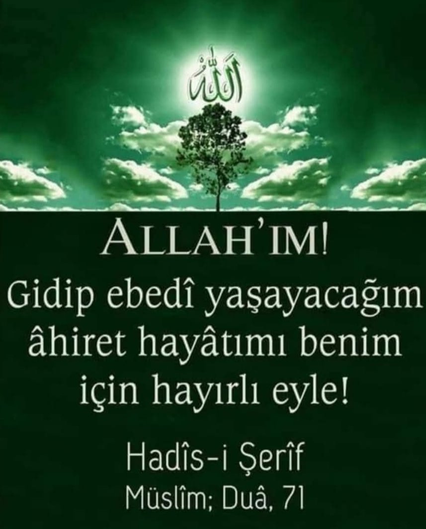 Fatih bayram (@fatihba65870343) on Twitter photo 