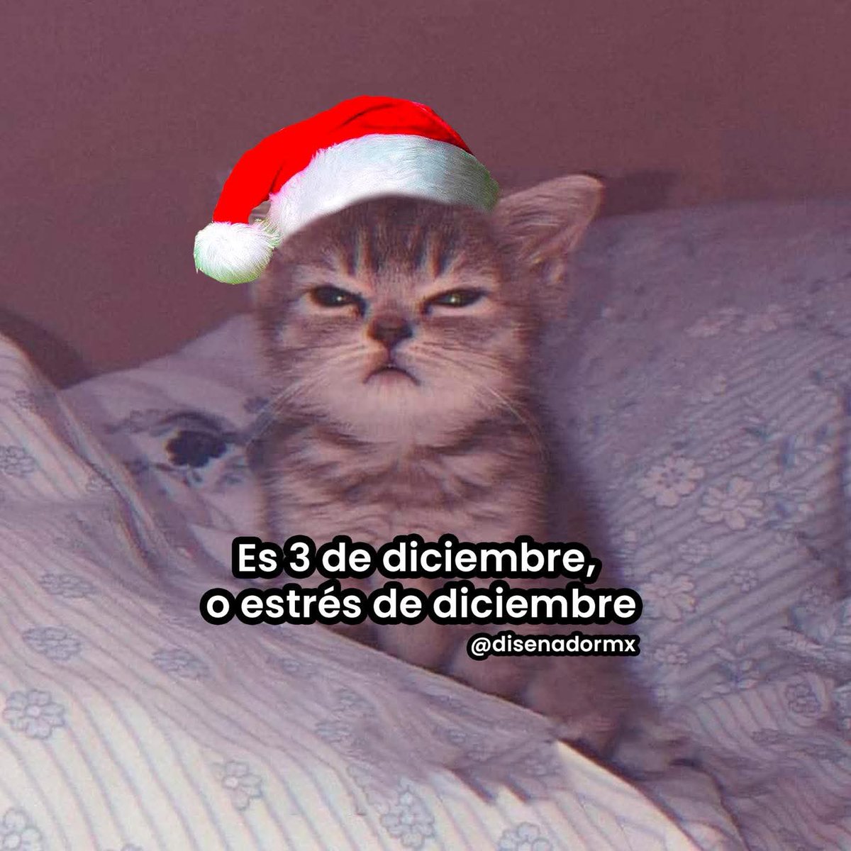 holacin_'s tweet photo. La imagen más personal que veré hoy. 🫩 https://t.co/DRSU2Cb6D3