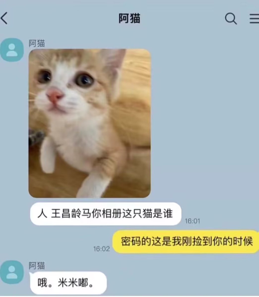moran_neko's tweet photo. 米米嘟 https://t.co/moyui9LJAG