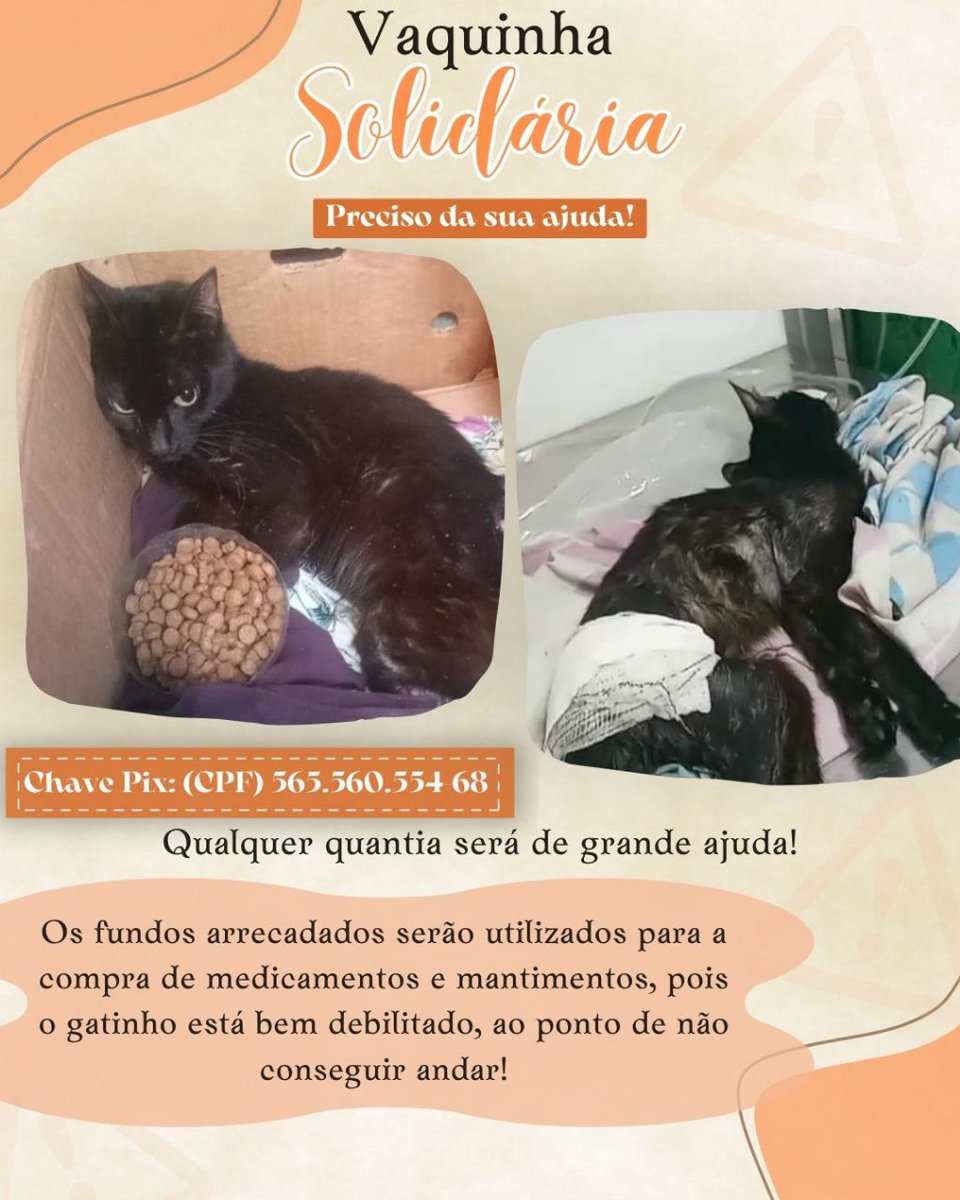 Josefa Pereira (@joseper20944996) on Twitter photo 