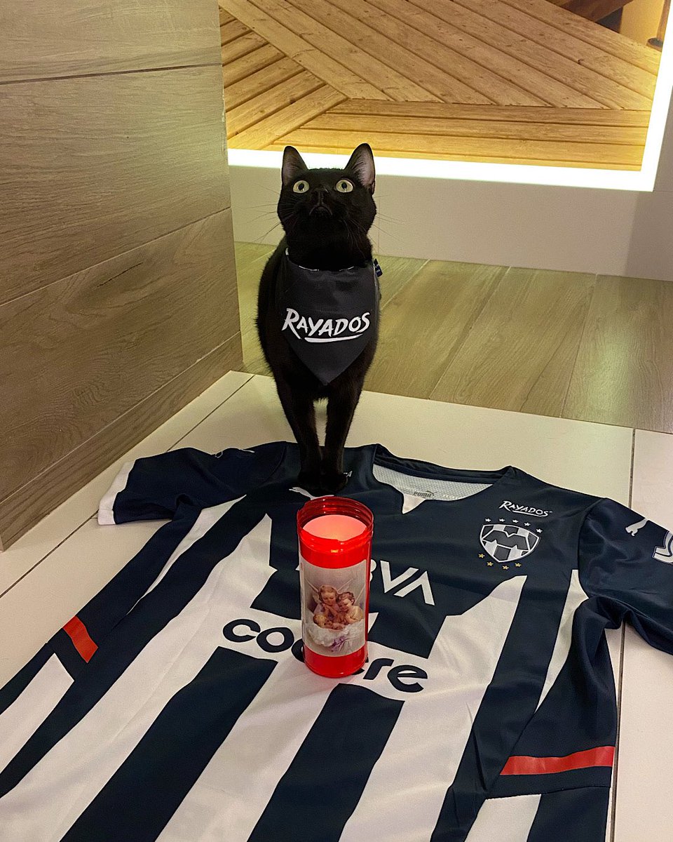 ZABALIVE tweet media