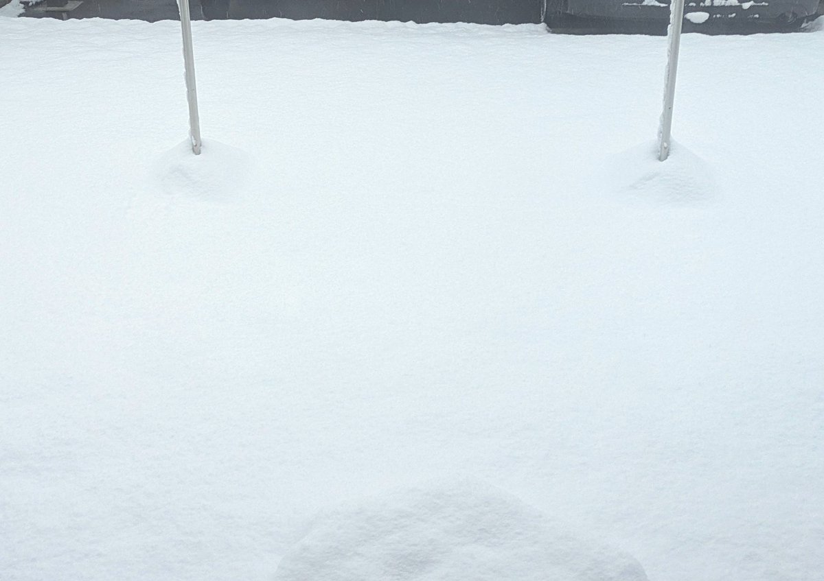 まるお🍥(低浮上) (@_manmaruo0126) / Posts / X