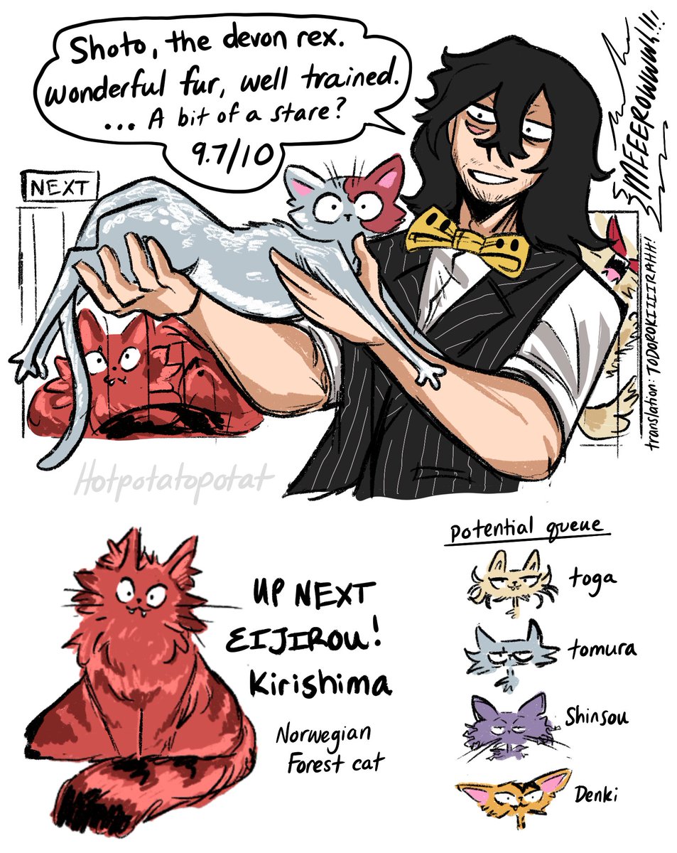 HotPotatoPotat's tweet photo. Cat Judge Aizawa takes a look at Shoto Cat, and determines that his preliminary score is even higher than Deku's or Bakugou's!

Bakugou is even more unhappy 😅

Up next is Kirishima cat, and then we have some potential candidates! Who do you wanna see? https://t.co/Nts5mgOtRT